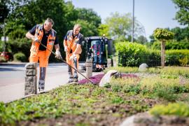 Zwei Männer in persönlicher Schutzkleidung, die bei der Stadt Elmshorn arbeiten, harken ein Beet während sich auf dem Gehweg eine Kehrmaschine nähert. Im Hintergrund sind eine Straße und Bäume zu erkennen. 